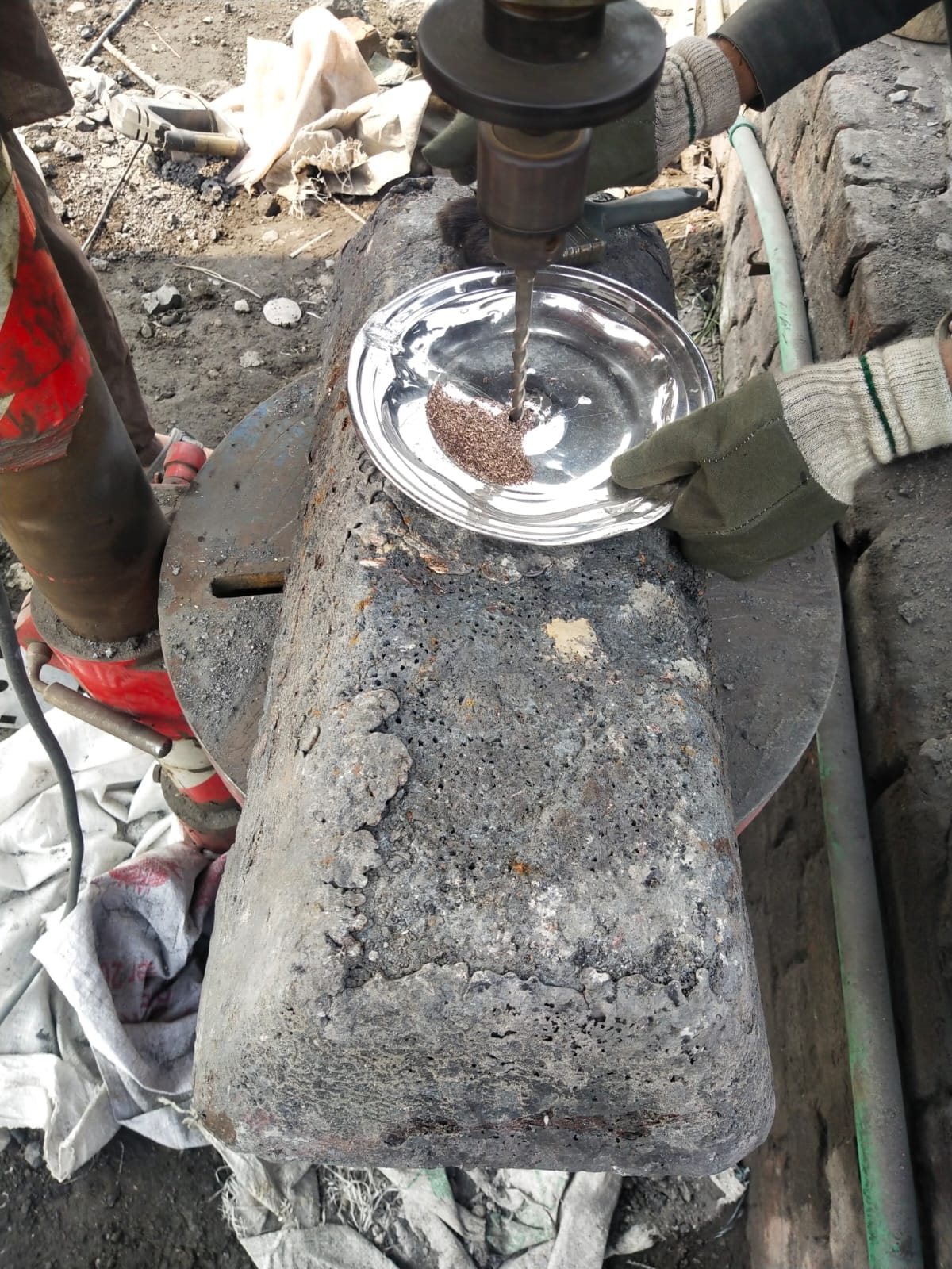 WhatsApp Image 2026-03-19 at 10.06.57 PM (1)