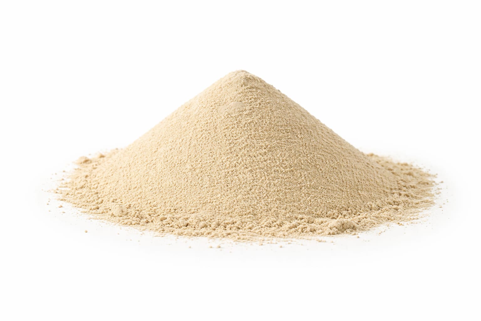 WhatsApp Image 2026-03-19 at 11.50.11 PM (1)