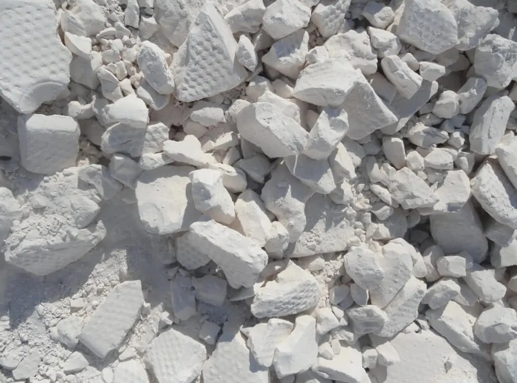 WhatsApp Image 2026-03-19 at 9.25.08 PM (1)