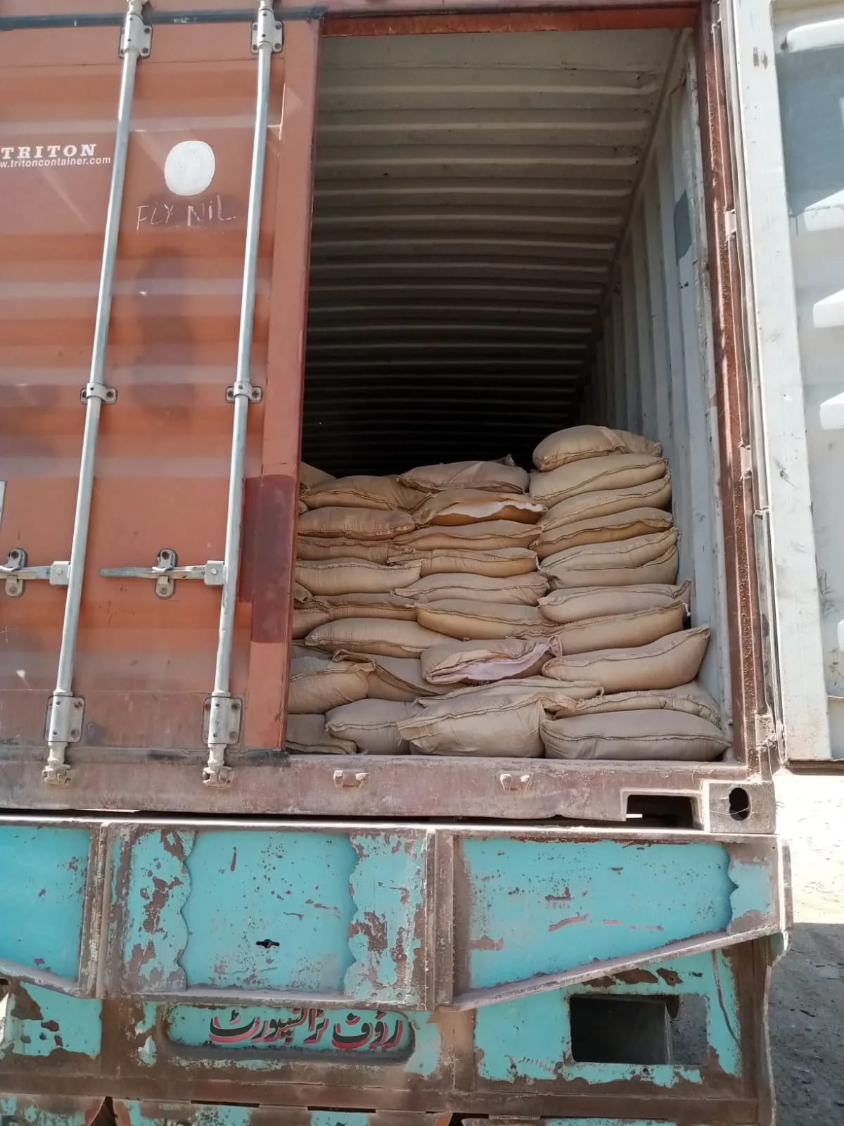 WhatsApp Image 2026-03-20 at 1.35.55 AM