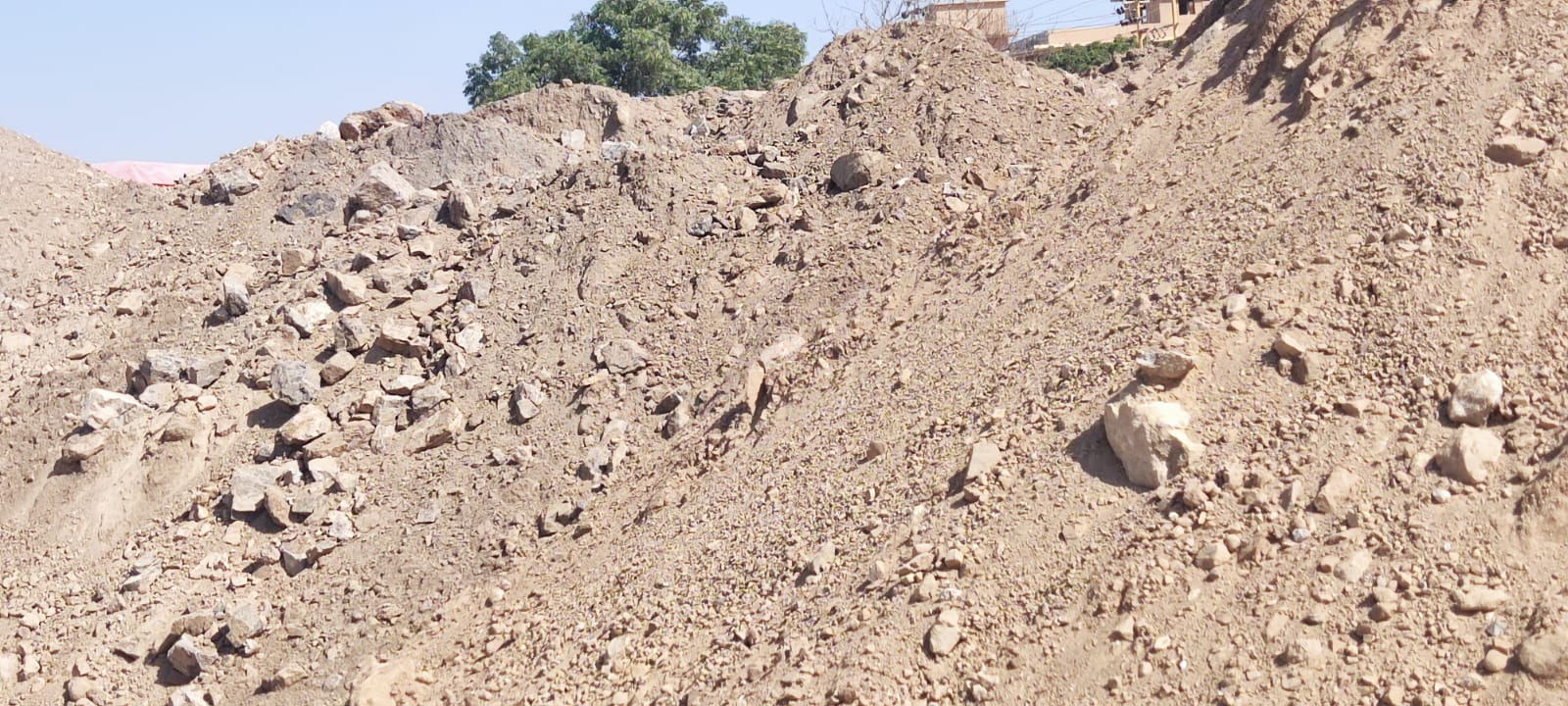 WhatsApp Image 2026-03-20 at 1.36.05 AM