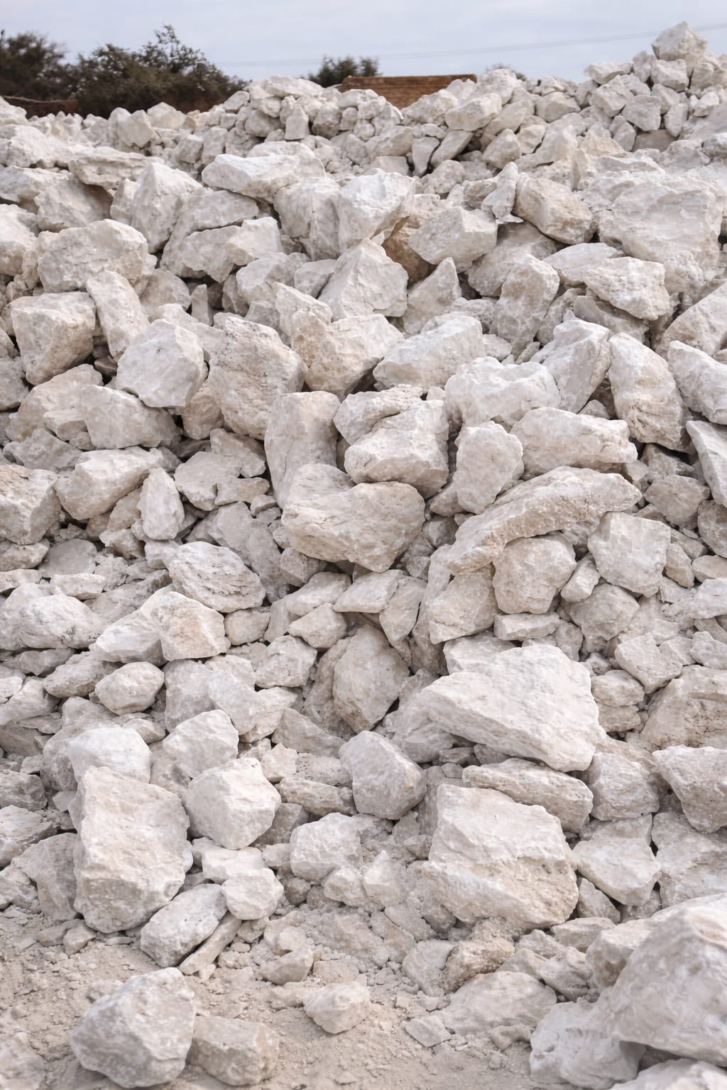 WhatsApp Image 2026-03-25 at 10.10.16 AM (1)