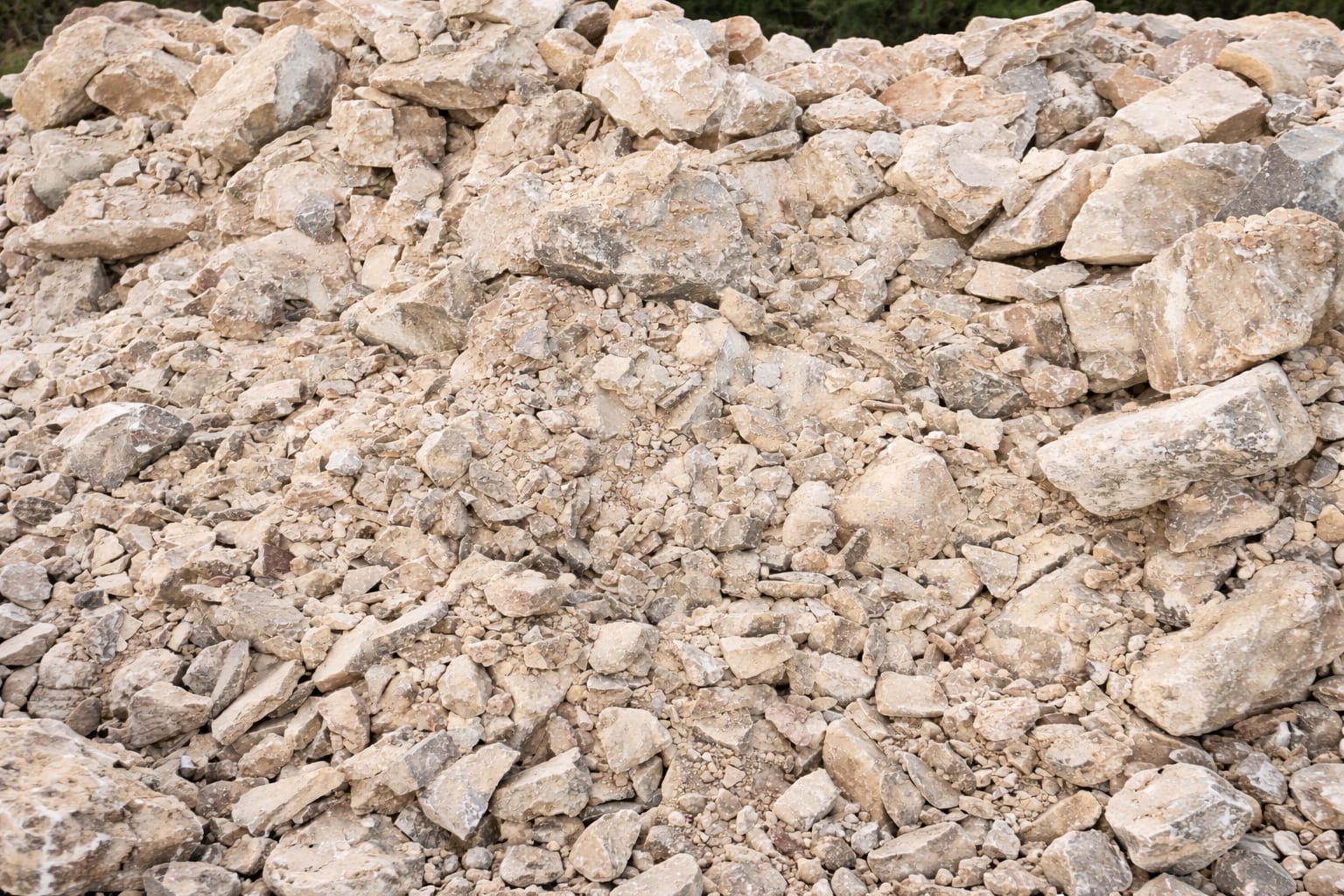 WhatsApp Image 2026-03-25 at 10.10.16 AM (3)