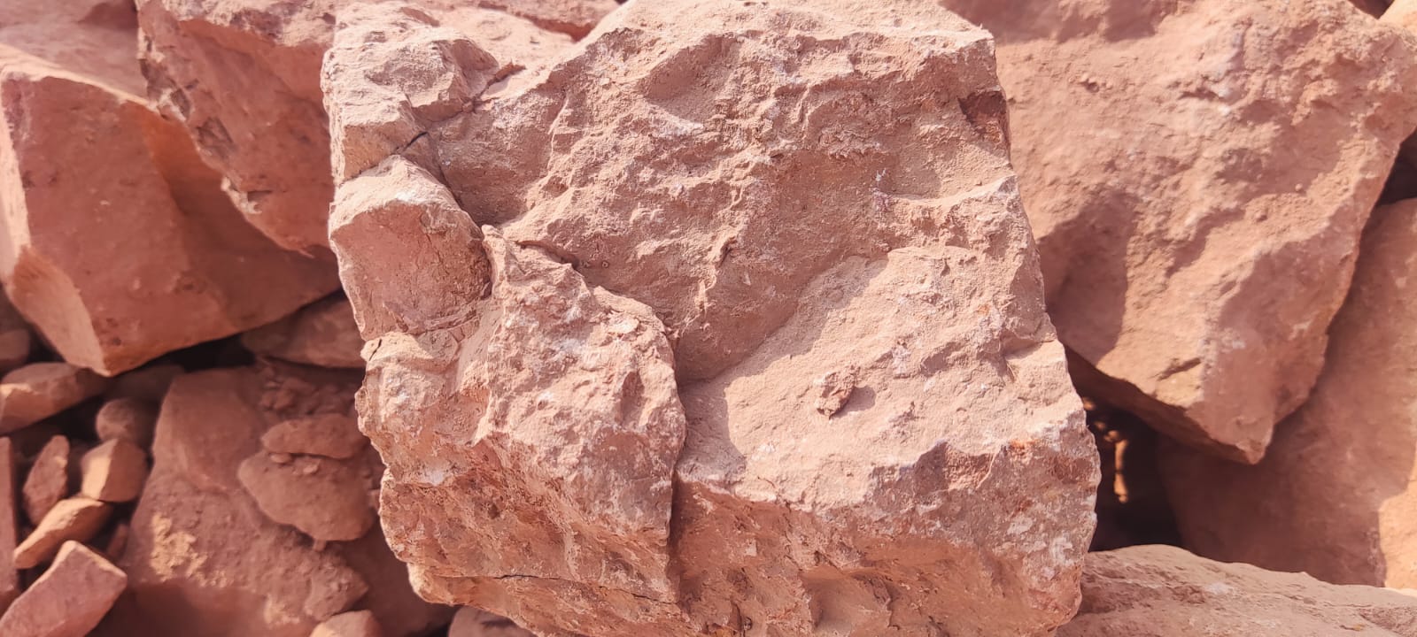 WhatsApp Image 2026-03-25 at 7.31.46 PM (1)