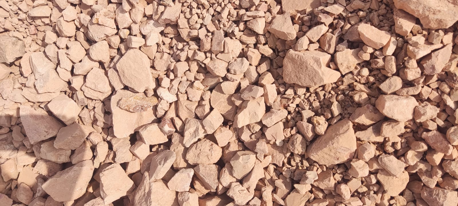 WhatsApp Image 2026-03-25 at 7.31.46 PM