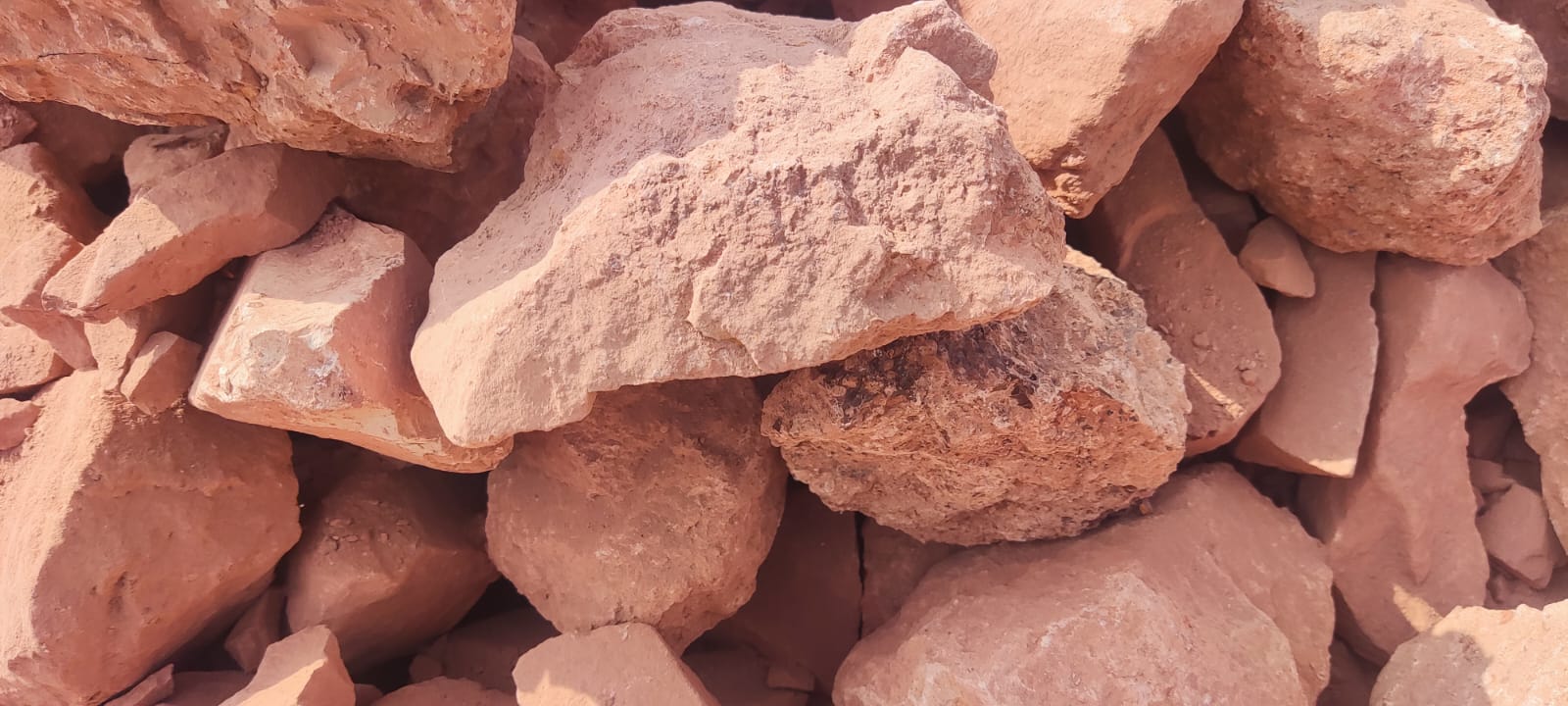 WhatsApp Image 2026-03-25 at 7.31.47 PM