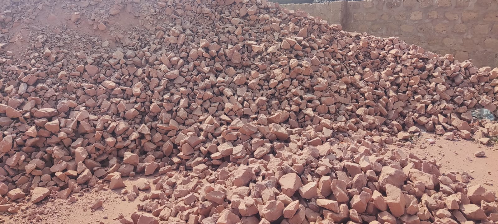 WhatsApp Image 2026-03-25 at 7.31.50 PM