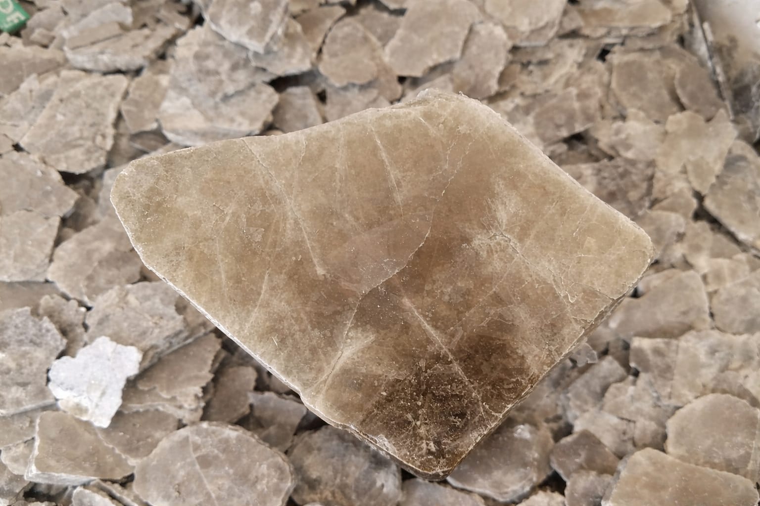 WhatsApp Image 2026-03-25 at 8.40.11 PM