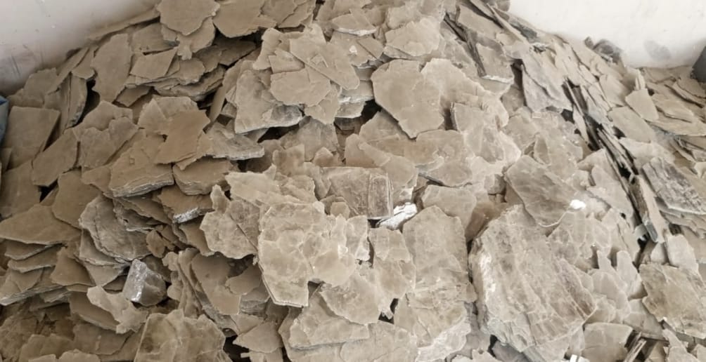 WhatsApp Image 2026-03-25 at 8.40.12 PM (1)