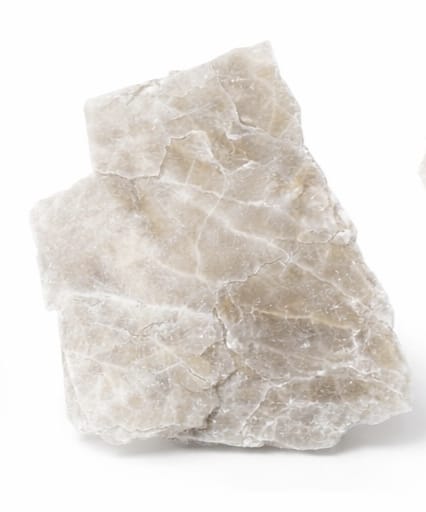 WhatsApp Image 2026-03-25 at 8.40.12 PM (2)