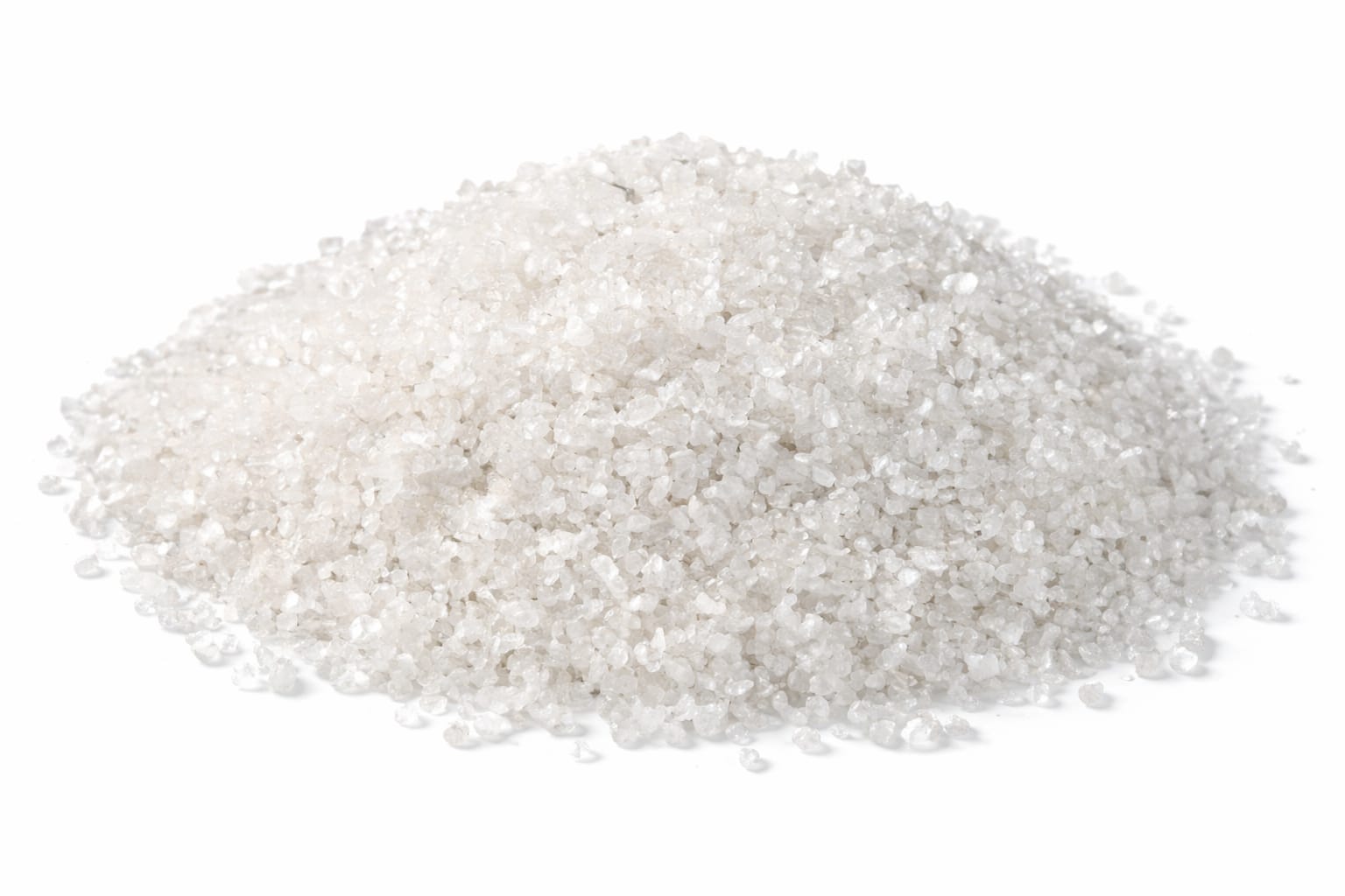 WhatsApp Image 2026-03-26 at 2.30.38 AM