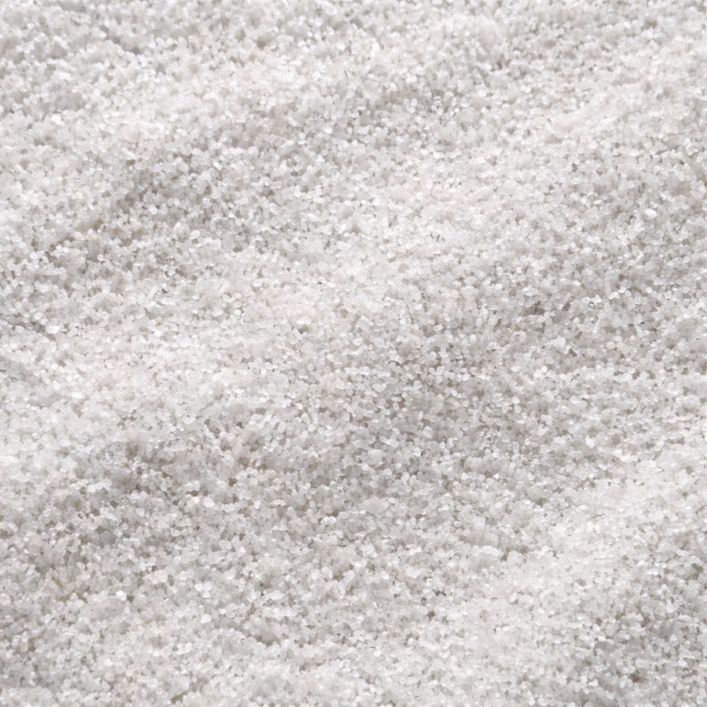 WhatsApp Image 2026-03-26 at 2.30.39 AM (2)