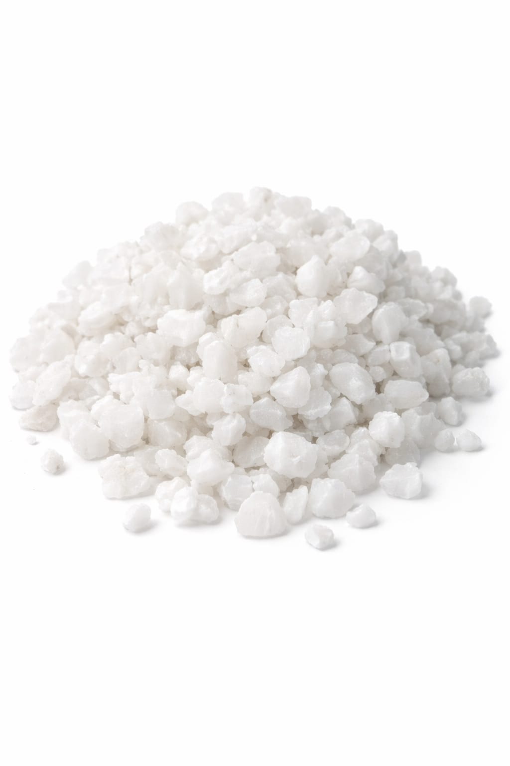 WhatsApp Image 2026-03-26 at 2.30.39 AM